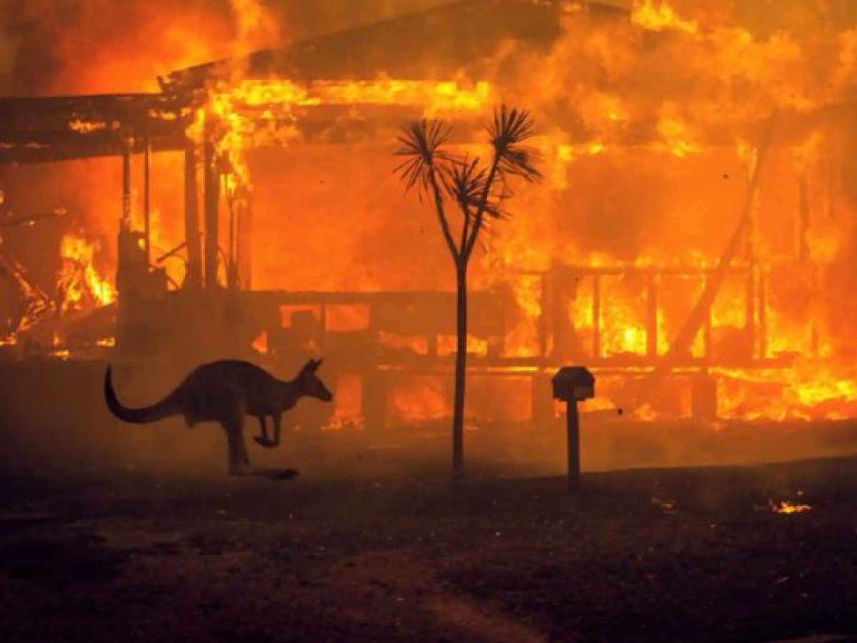 Avustralya Orman Yangınları ve Seyahat Sigortası Görseli